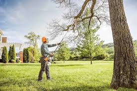 Best Lawn Mowing  in Aptos Hills Larkin Valley, CA
