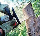 Best Hazardous Tree Removal  in Aptos Hills Larkin Valley, CA